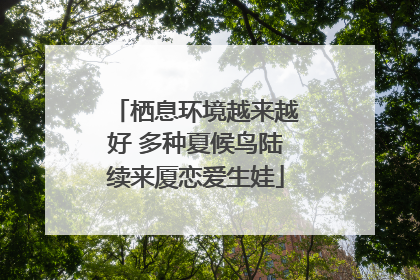 栖息环境越来越好 多种夏候鸟陆续来厦恋爱生娃